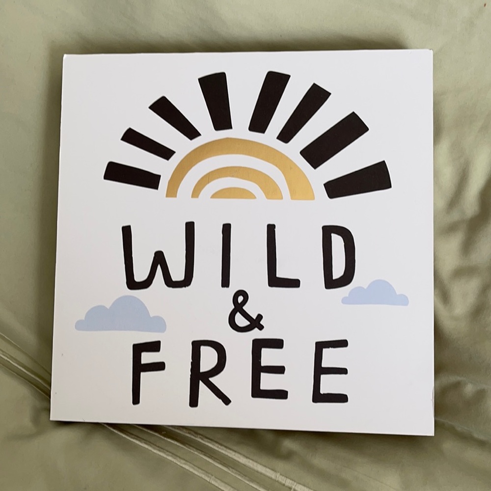Wild & Free Moving Up Set- Shelves/Curtain/Plaque - Picture 2 of 12